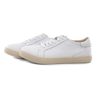 White - Adult - Low Top Sneakers